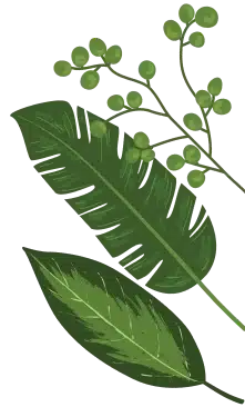 leaf22